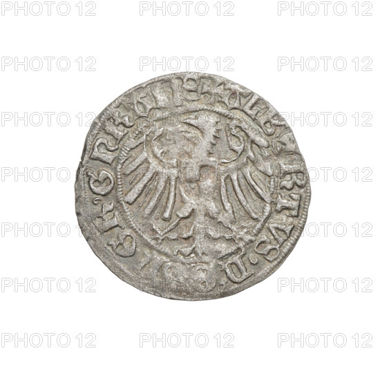 Teutonic groschen, Albrecht Hohenzollern (prince in Prussia; Grand Master; 1490–1568). Obverse: