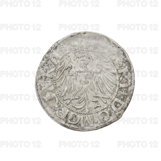 Teutonic groschen, Albrecht Hohenzollern (prince in Prussia; Grand Master; 1490–1568); Wille,