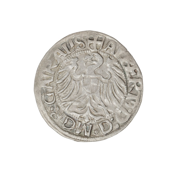 Teutonic groschen, Albrecht Hohenzollern (prince in Prussia; Grand Master; 1490–1568); Wille,
