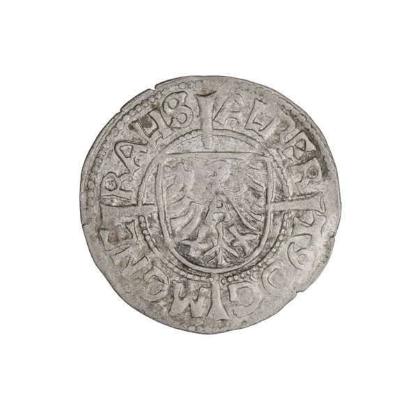 Teutonic groschen, Albrecht Hohenzollern (prince in Prussia; Grand Master; 1490–1568); Wille,