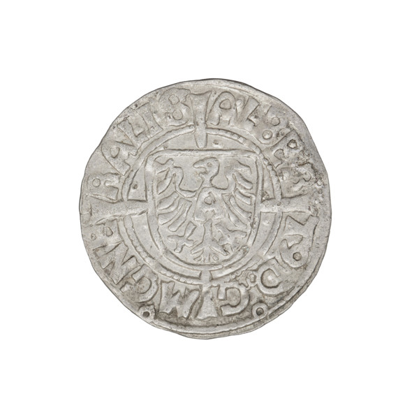 Teutonic groschen, Albrecht Hohenzollern (prince in Prussia; Grand Master; 1490–1568), Wille,