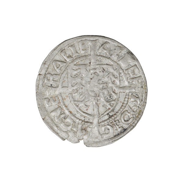 Teutonic groschen, Albrecht Hohenzollern (prince in Prussia; Grand Master; 1490–1568); Wille,