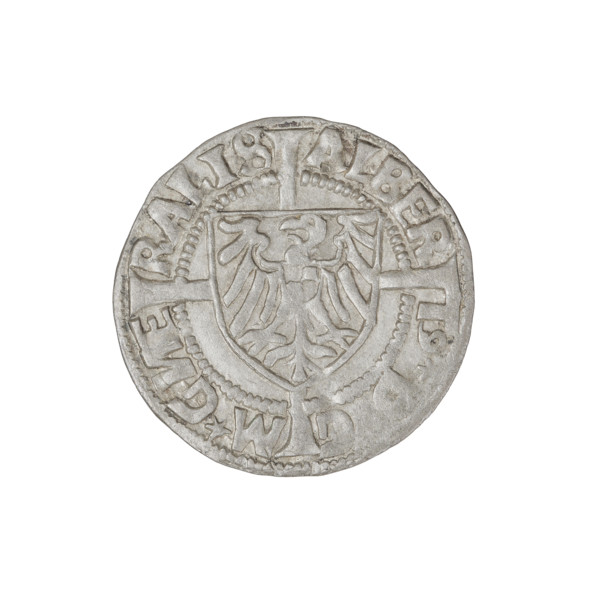 Teutonic groschen, Albrecht Hohenzollern (prince in Prussia; Grand Master; 1490–1568); Wille,