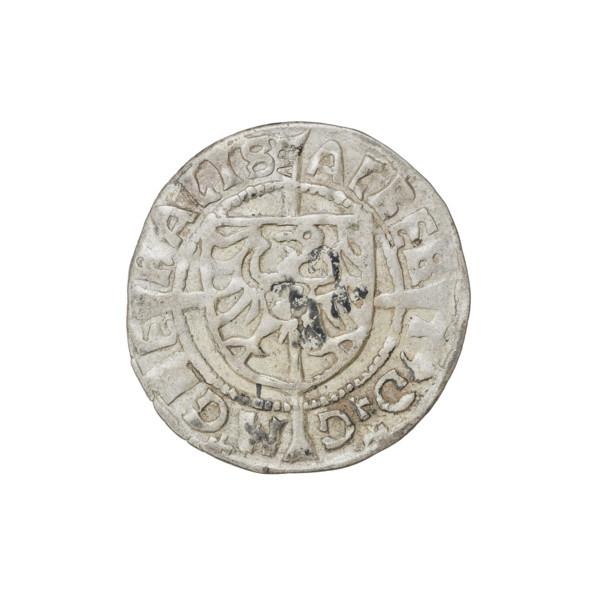 Teutonic groschen, Albrecht Hohenzollern (prince in Prussia; Grand Master; 1490–1568); Wille,