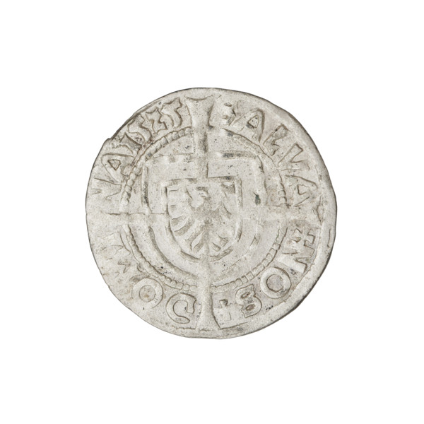 Teutonic groschen, Albrecht Hohenzollern (prince in Prussia; Grand Master; 1490–1568); Wille,