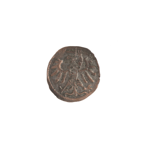 Gdansk denarius of Sigismund I the Old (King of Poland, r. 1506–1548). Silver coin (denarius).