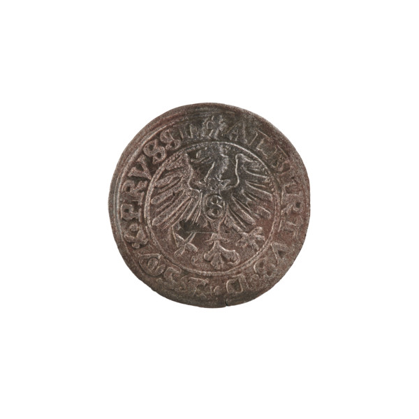 szelag, Nimptsch (Nimsch), Hans, R (rarity), eagles, rosettes, Hohenzollern (coat of arms),