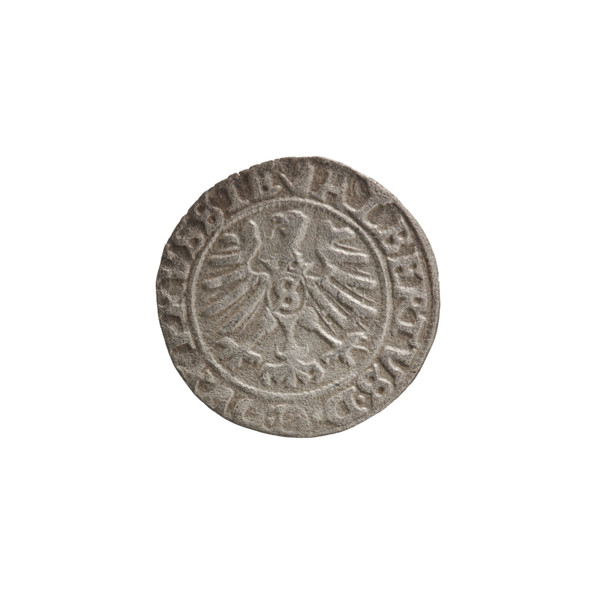 szelag, Nimptsch (Nimsch), Wolf, R (rarity), eagles, rosettes, Hohenzollern (coat of arms),