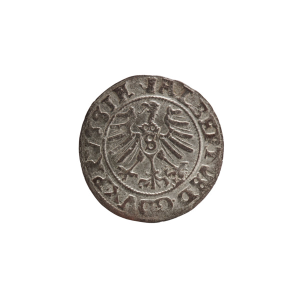 szelag, Nimptsch (Nimsch), Wolf, R (rarity), eagles, rosettes, Hohenzollern (coat of arms),