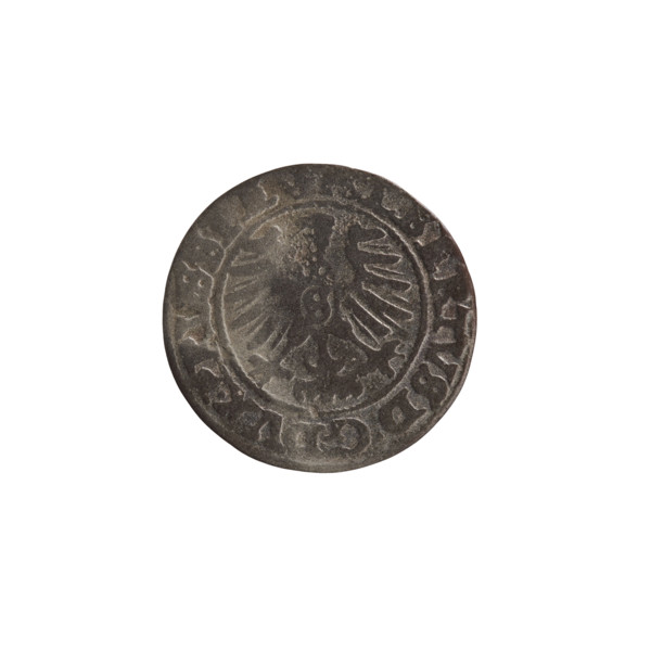 szelag, Nimptsch (Nimsch), Wolf, R (rarity), eagles, Hohenzollern (coat of arms), rosettes,
