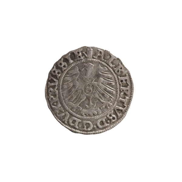 szelag, Nimptsch (Nimsch), Wolf, R1 (rarity), eagles, Hohenzollern (coat of arms), rosettes,