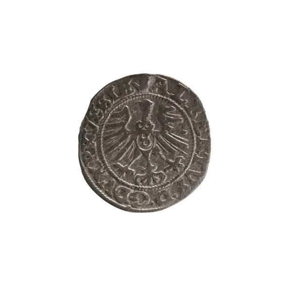 szelag, Nimptsch (Nimsch), Wolf, R1 (rarity), eagles, Hohenzollern (coat of arms), rosettes,