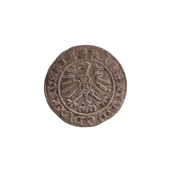 szelag, Nimptsch (Nimsch), Wolf, R1 (rarity), eagles, rosettes, Hohenzollern (coat of arms),