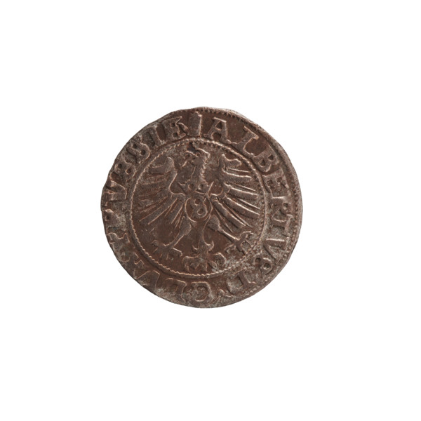 szelag, Nimptsch (Nimsch), Wolf, R (rarity), eagles, rosettes, Hohenzollern (coat of arms),