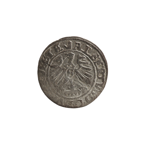 szelag, Nimptsch (Nimsch), Wolf, R (rarity), eagles, Hohenzollern (coat of arms), rosettes,