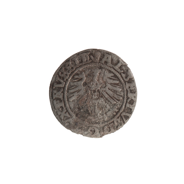 szelag, Nimptsch (Nimsch), Wolf, R1 (rarity), Hohenzollern (coat of arms), eagles, treasure from
