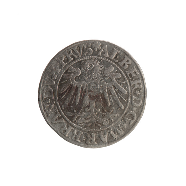 Albrecht Hohenzollern (Prince of Prussia; 1490–1568) — coin, 1534. Obverse: Prussian eagle; on its