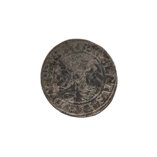szelag; Wille, Albrecht (fl. 1520-?), publisher; Straub (Strawb), Heinrich, publisher; Decjusz,