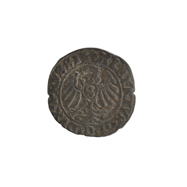 szelag, Straub (Strawb), Heinrich, publisher, Wille, Albrecht (fl. 1520-?), publisher, Decjusz,