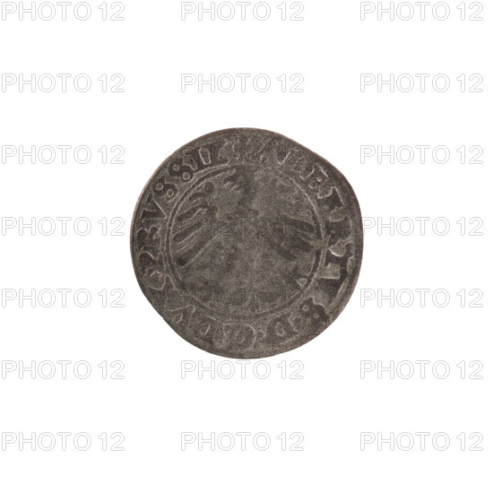 szelag, Nimptsch (Nimsch), Hans, R (rarity), eagles, rosettes, Hohenzollern (coat of arms),