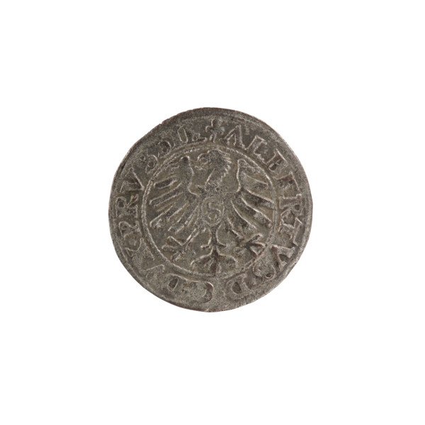 szelag by Hans Nimptsch (Nimsch), R (rarity). Obverse: Prussian eagle with crowned letter S on its