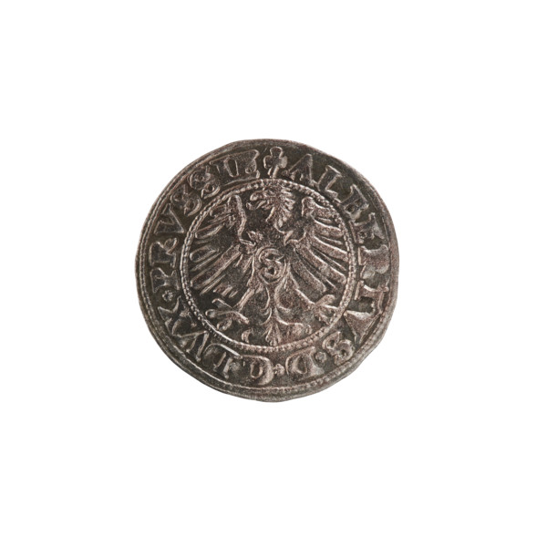 szelag, Nimptsch (Nimsch), Hans, R (rarity), eagles, rosettes, Hohenzollern (coat of arms),