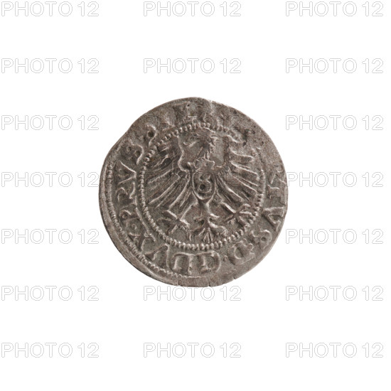 szelag, Nimptsch (Nimsch), Wolf, R1 (rarity), eagles, rosettes, Hohenzollern (coat of arms),