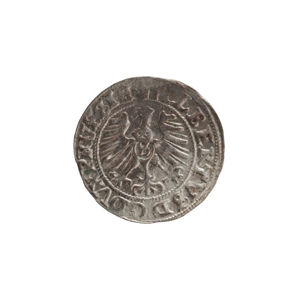 szelag, Nimptsch (Nimsch), Wolf, R1 (rarity); Albrecht Hohenzollern (Prince of Prussia; 1490–1568).