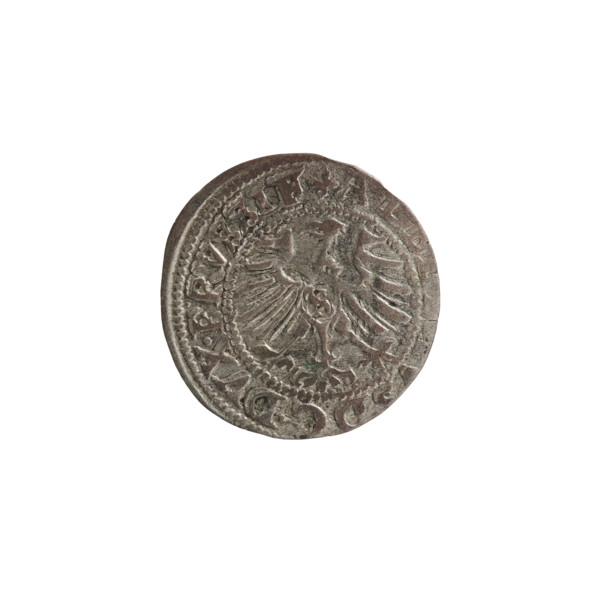 szelag, Nimptsch (Nimsch), Wolf, R1 (rarity); eagles, rosettes, Hohenzollern (coat of arms);