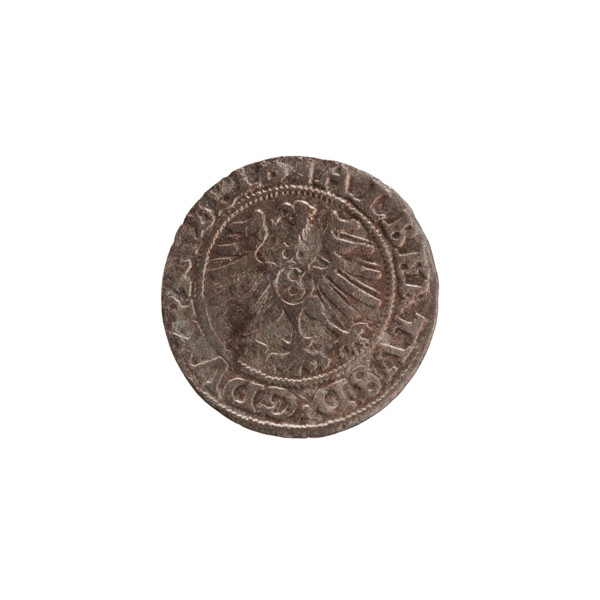 szelag, Nimptsch (Nimsch), Wolf, R1 (rarity), eagles, rosettes, Hohenzollern (coat of arms),