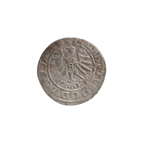 szelag, Nimptsch (Nimsch), Wolf, R1 (rarity), eagles, rosettes, Hohenzollern (coat of arms),