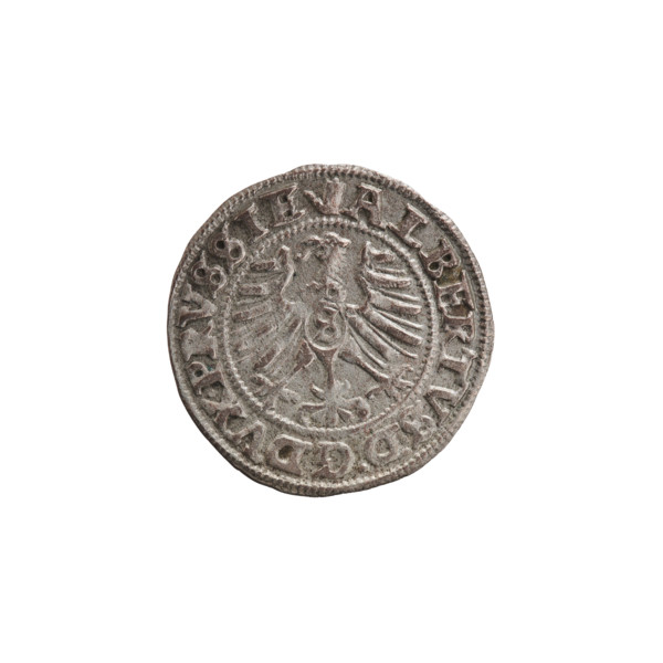 szelag, Nimptsch (Nimsch), Wolf, R1 (rarity), eagles, rosettes, Hohenzollern (coat of arms),