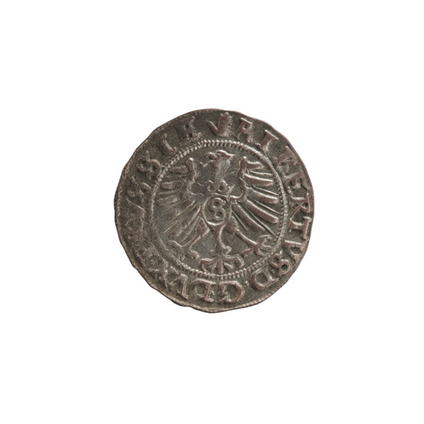 szelag, Nimptsch (Nimsch), Wolf, R1 (rarity), eagles, Hohenzollern (coat of arms), rosettes,