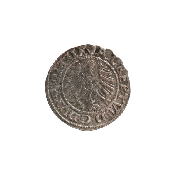 szelag, Nimptsch (Nimsch), Wolf, R1 (rarity), eagles, rosettes, Hohenzollern (coat of arms),