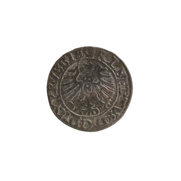 szelag, Nimptsch (Nimsch), Wolf, R (rarity), eagles, rosettes, Hohenzollern (coat of arms),