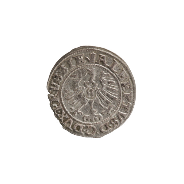 szelag, Nimptsch (Nimsch), Wolf, R (rarity), eagles, rosettes, Hohenzollern (coat of arms),