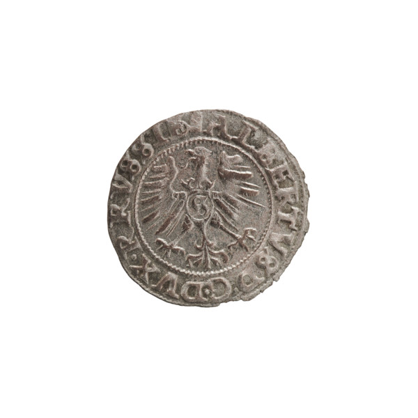 szelag, Nimptsch (Nimsch), Wolf, R (rarity), eagles, Hohenzollern (coat of arms), rosettes,