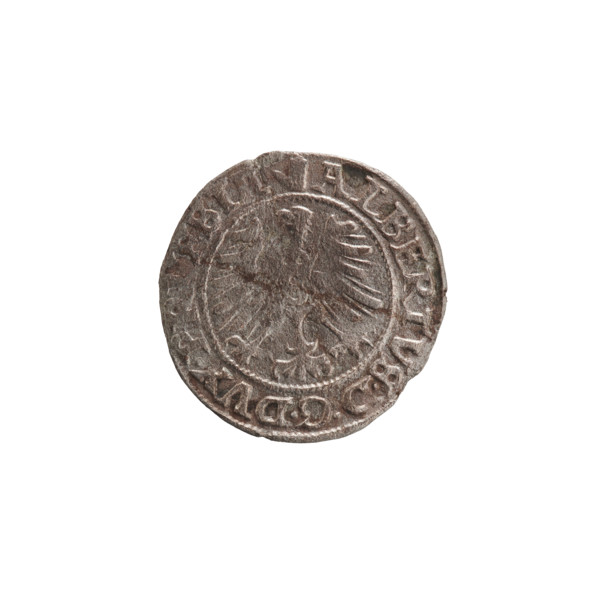 szelag, Nimptsch (Nimsch), Wolf, R (rarity), eagles, rosettes, Hohenzollern (coat of arms),