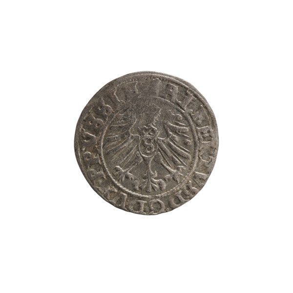 szelag, Nimptsch (Nimsch), Wolf, R (rarity). Hohenzollern (coat of arms), eagles, rosettes.