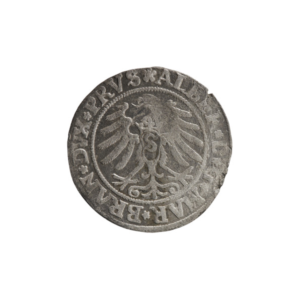 Albrecht Hohenzollern (Prince of Prussia; 1490–1568) — iconography; Hohenzollern coat of arms; male