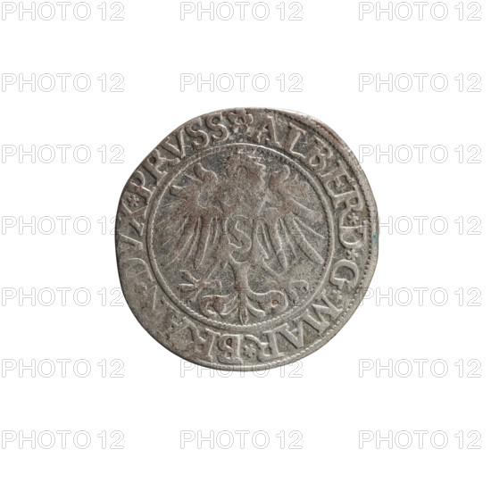 grosz, Decius, Jost Ludwik (fl. 1528-1535); eagles; Albrecht Hohenzollern (Prince of Prussia;