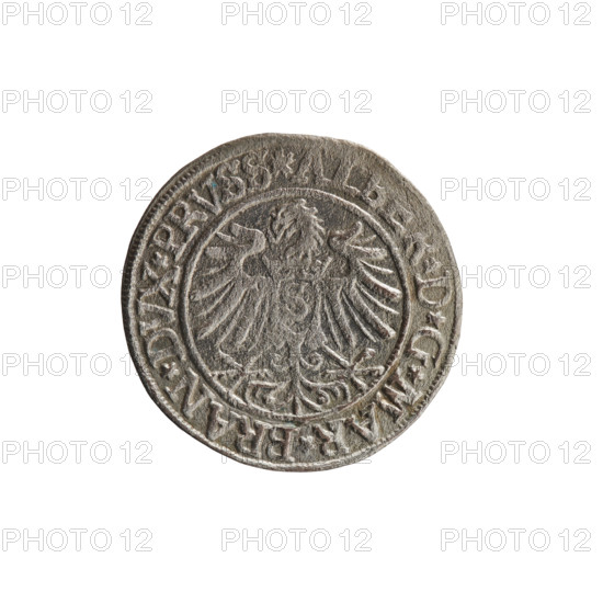 grosz, Decius, Jost Ludwik (fl. 1528-1535); eagles; Albrecht Hohenzollern (Prince of Prussia;