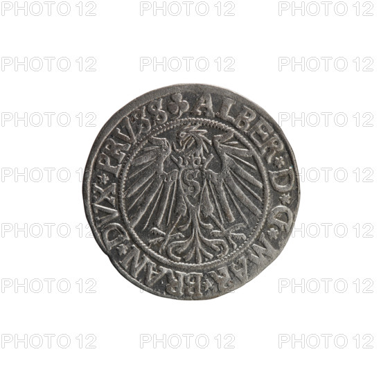 grosz, Schilling, Maciej, R3 (rarity), eagles, Albrecht Hohenzollern (Prince of Prussia; 1490-1568)