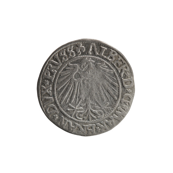 grosz, Schilling, Maciej, R0 (rarity), Albrecht Hohenzollern (Prince of Prussia; 1490–1568) -