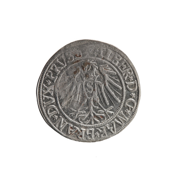 grosz, Schilling, Maciej, R0 (rarity), Albrecht Hohenzollern (Prince of Prussia; 1490–1568) —
