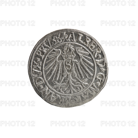 grosz; Schilling, Maciej; R0 (rarity); eagles; Albrecht Hohenzollern (Prince of Prussia; 1490–1568)
