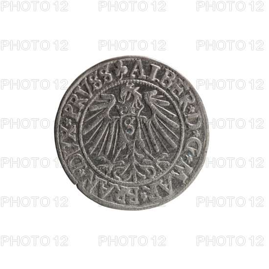 grosz, Schilling, Maciej, R0 (rarity), eagles, Albrecht Hohenzollern (Prince of Prussia; 1490–1568)