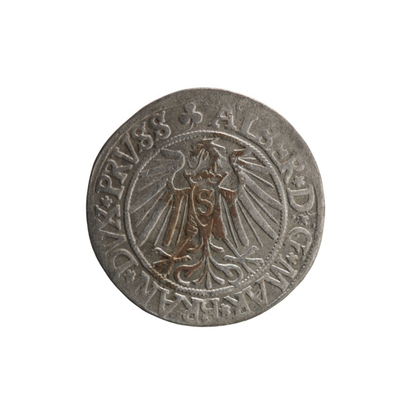 grosz, Schilling, Maciej, R0 (rarity), eagles, Albrecht Hohenzollern (Prince of Prussia; 1490–1568)