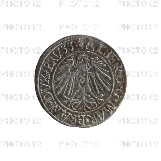 Albrecht Hohenzollern (Prince of Prussia; 1490–1568) — obverse: Prussian eagle, on its chest the