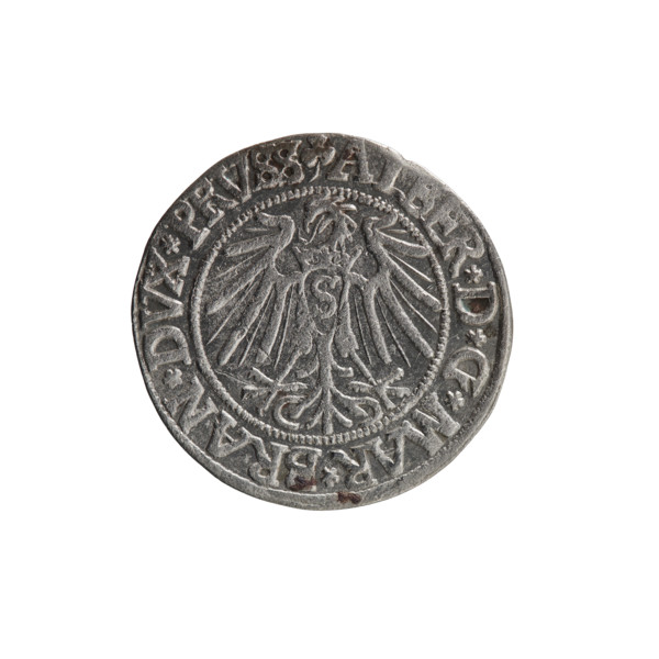 grosz, Schilling, Maciej, R0 (rarity), eagles, Albrecht Hohenzollern (Prince of Prussia; 1490–1568)